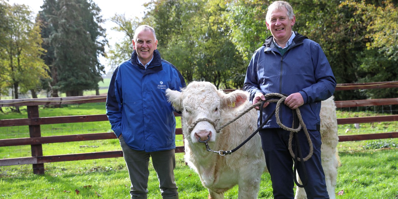 Zurich competition winners at National Ploughing Championships