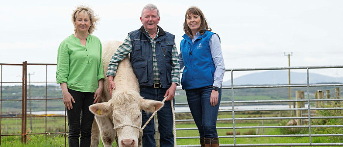 Two female and one male farmers with cow