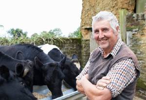 Farmer with cows 