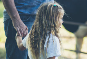 A girl holding her fathers hand looking at cows on a farm