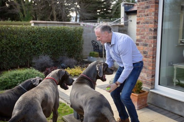 man with dogs