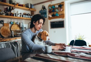 man and dog on laptop